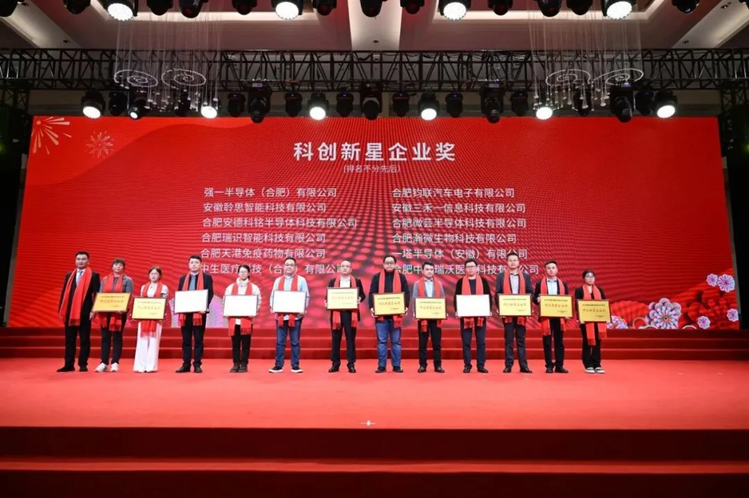 利来国际电子荣获2025年度岳阳经开区“科创新星企业奖”